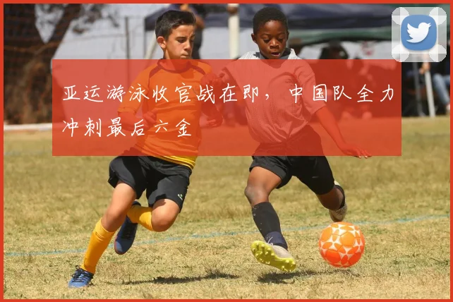 亚运游泳收官战在即，中国队全力冲刺最后六金